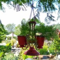 Broadview Landscaping & Nursery, Inc. ico