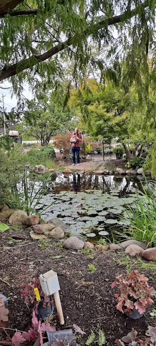Broadview Landscaping & Nursery, Inc. Picture 4