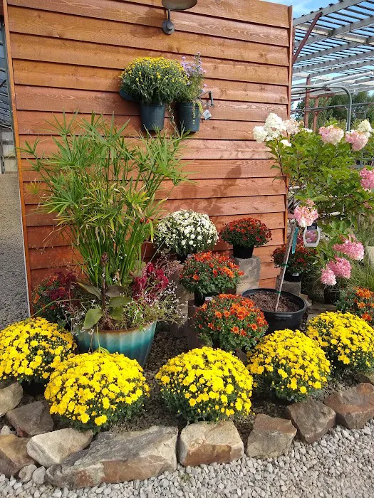 Broadview Landscaping & Nursery, Inc. Picture 2
