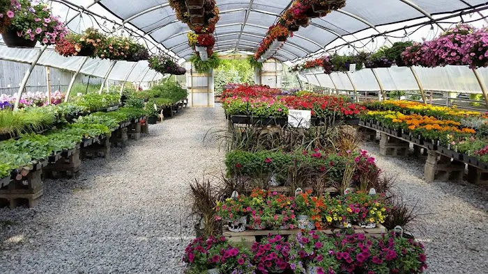 Broadview Landscaping & Nursery, Inc. Picture 6