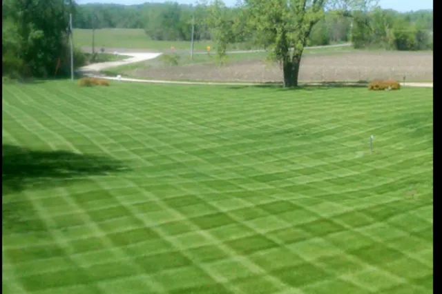 Xtreme Lawns Plus LLC Picture 3