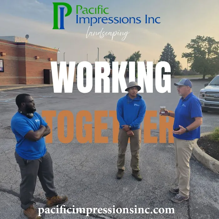 Pacific Impressions Landscaping, Inc Picture 4