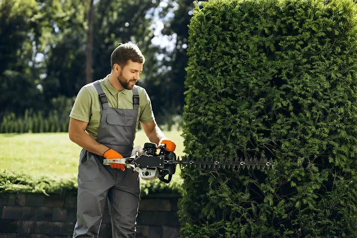 All about tree & turf services Picture 3