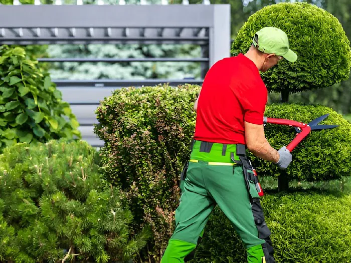 All about tree & turf services Picture 2