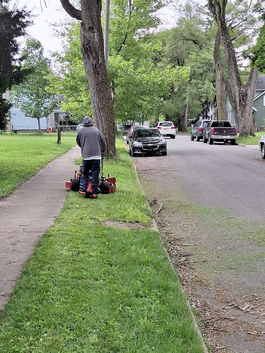 All about tree & turf services Picture 4