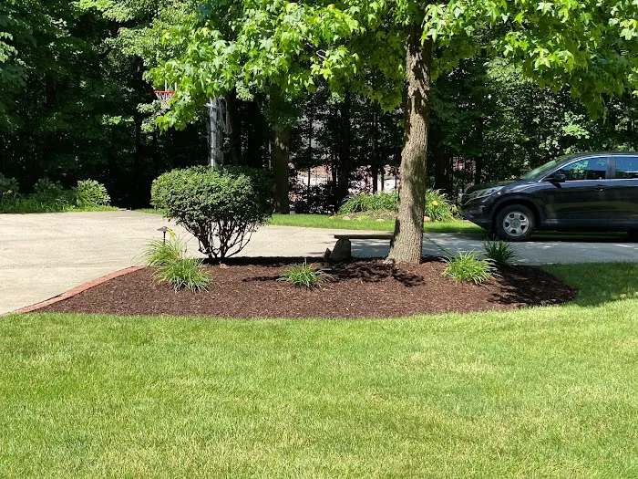 Romero Landscaping Picture 10