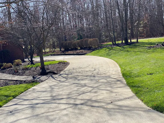 Romero Landscaping Picture 2
