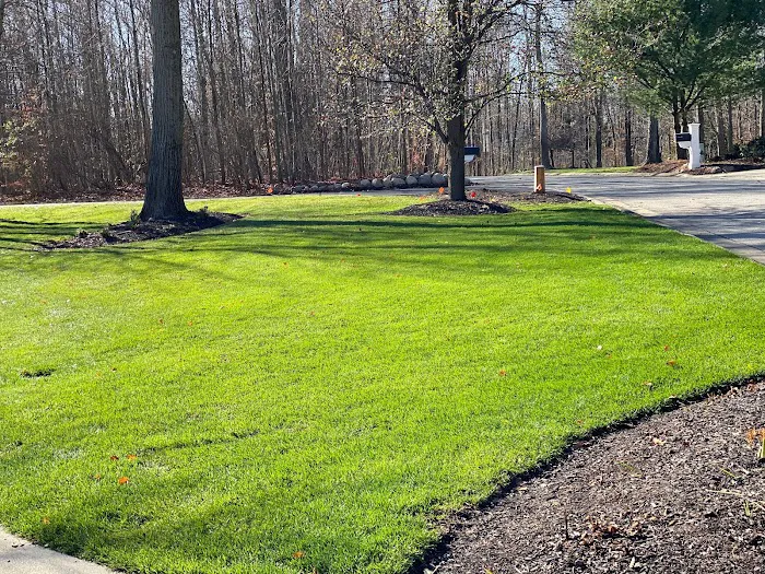 Romero Landscaping Picture 7