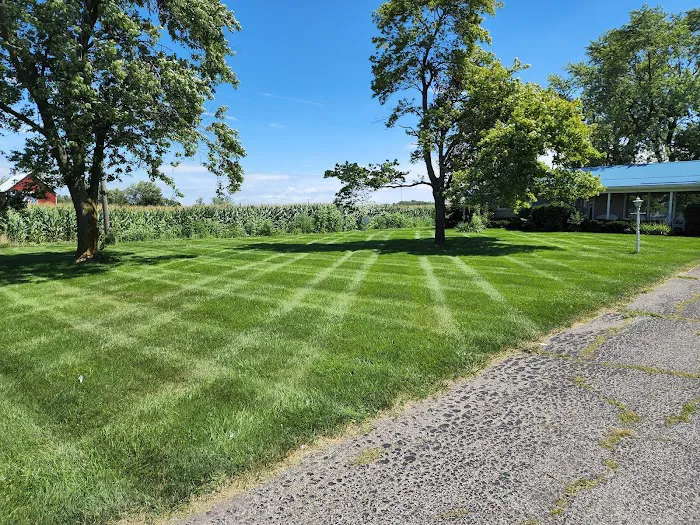Austin Lawn Care Picture 10