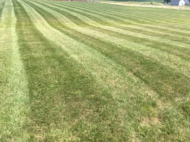 MVP Landscaping LLC Picture 10