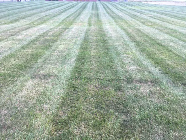 MVP Landscaping LLC Picture 7