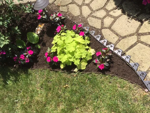 MVP Landscaping LLC Picture 9