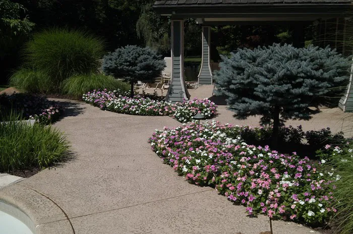 Maxwell Landscape Design Picture 1