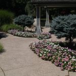 Maxwell Landscape Design