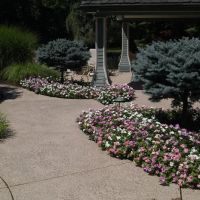 Maxwell Landscape Design ico