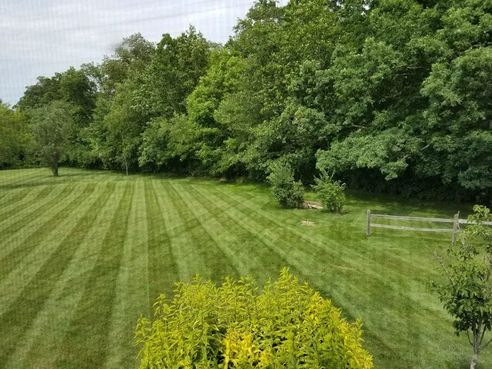 Grass Green Inc Picture 1