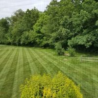 Grass Green Inc ico