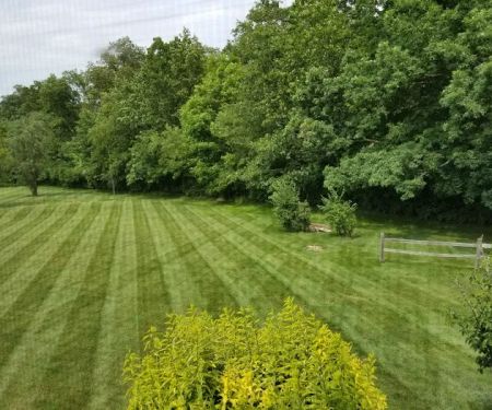 Grass Green Inc