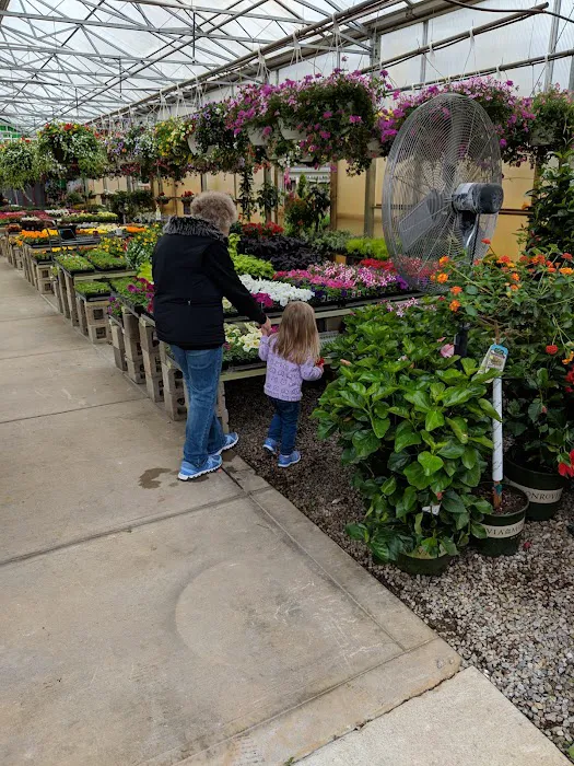 Plant Center Inc Picture 8