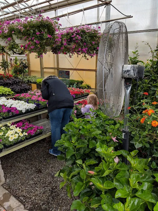 Plant Center Inc Picture 3