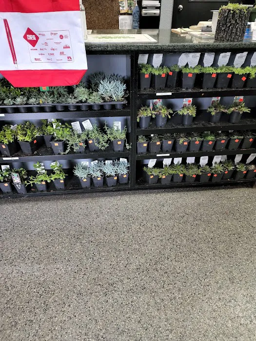 Plant Center Inc Picture 1