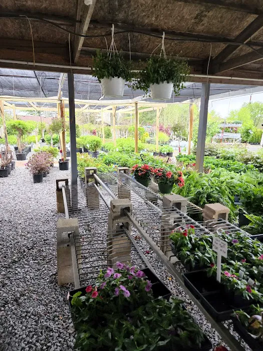 Plant Center Inc Picture 7