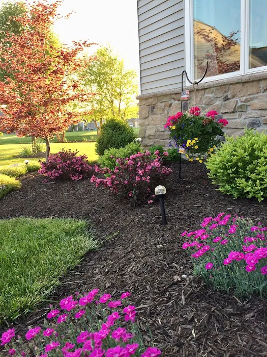 Carr's Lawn and Landscape Picture 1