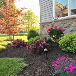 Carr's Lawn and Landscape