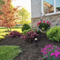 Carr's Lawn and Landscape ico