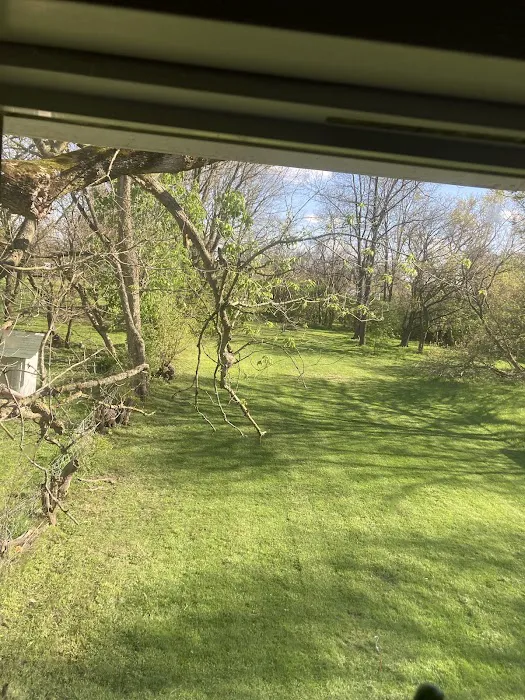Lines Landscaping LLC Picture 7
