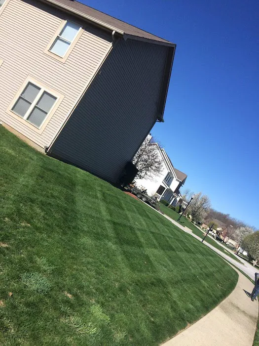 Lines Landscaping LLC Picture 6