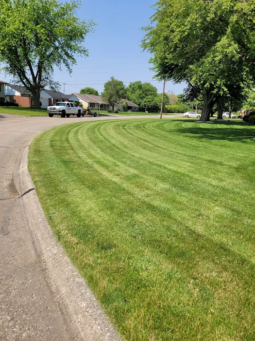 Lines Landscaping LLC Picture 2