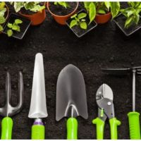 Vonie's Green Thumb Inc ico