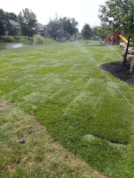 Limon Green-Tree Landscape & Irrigation Picture 5