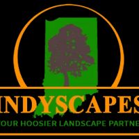 Indyscapes ico