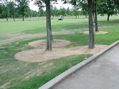 SmithSmallTownMowing Lawn Care Picture 4