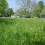 SmithSmallTownMowing Lawn Care