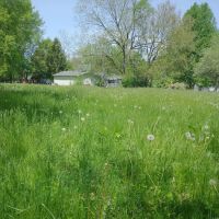 SmithSmallTownMowing Lawn Care ico