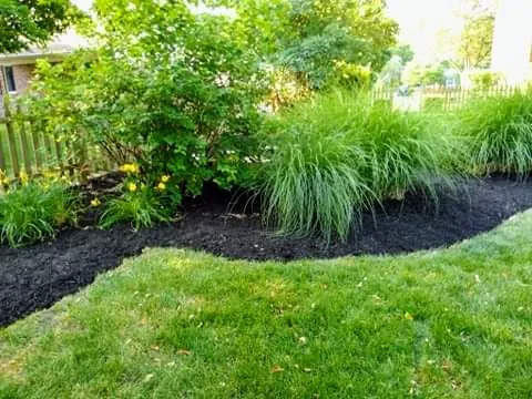 SmithSmallTownMowing Lawn Care Picture 6