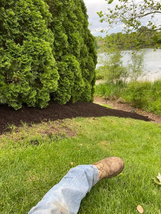 Juarez Family Landscaping Service LLC Picture 10