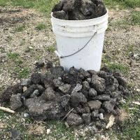 Tiffany Lawn & Garden Supply, Inc. ico