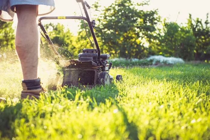 Garver's Lawn & Mosquito Management Picture 4