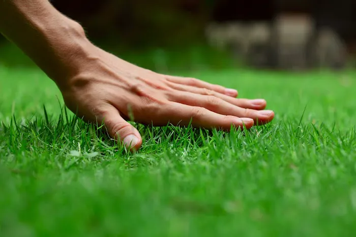 Garver's Lawn & Mosquito Management Picture 3