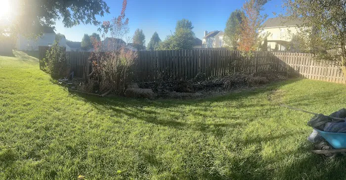 Jones Junk Removal & Landscaping Picture 1