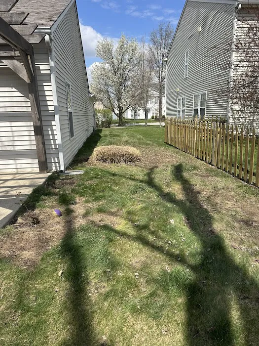 Jones Junk Removal & Landscaping Picture 8