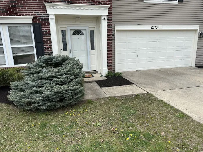 Jones Junk Removal & Landscaping Picture 3