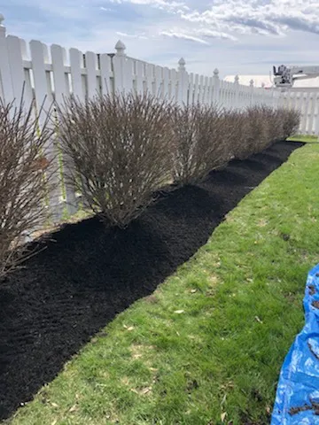 Wilson Lawn Care LLC Picture 1