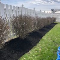 Wilson Lawn Care LLC ico