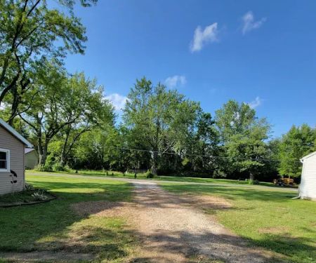Josh Newsome's Tree Surgery
