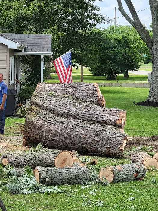 Josh Newsome's Tree Surgery Picture 3